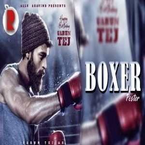 Boxer movie poster