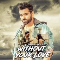 Without Your Love Poster