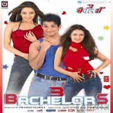 Bachelors 2 Poster
