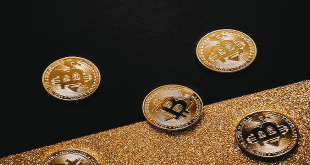 Litecoin Price: A Comprehensive Analysis of the Silver to Bitcoin's Gold
