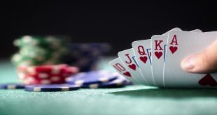 The World of Casinos: Everything You Need to Know
