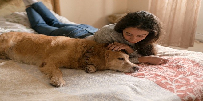 Meaningful Ways To Keep Your Pet Memories Alive